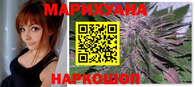 spice Новодвинск