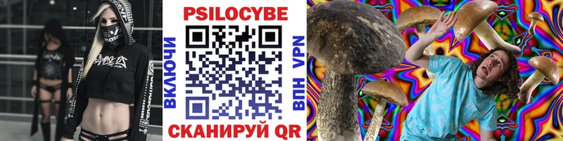 Галлюциногенные грибы Psilocybe  mega ССЫЛКА  Дальнереченск  хочу наркоту 