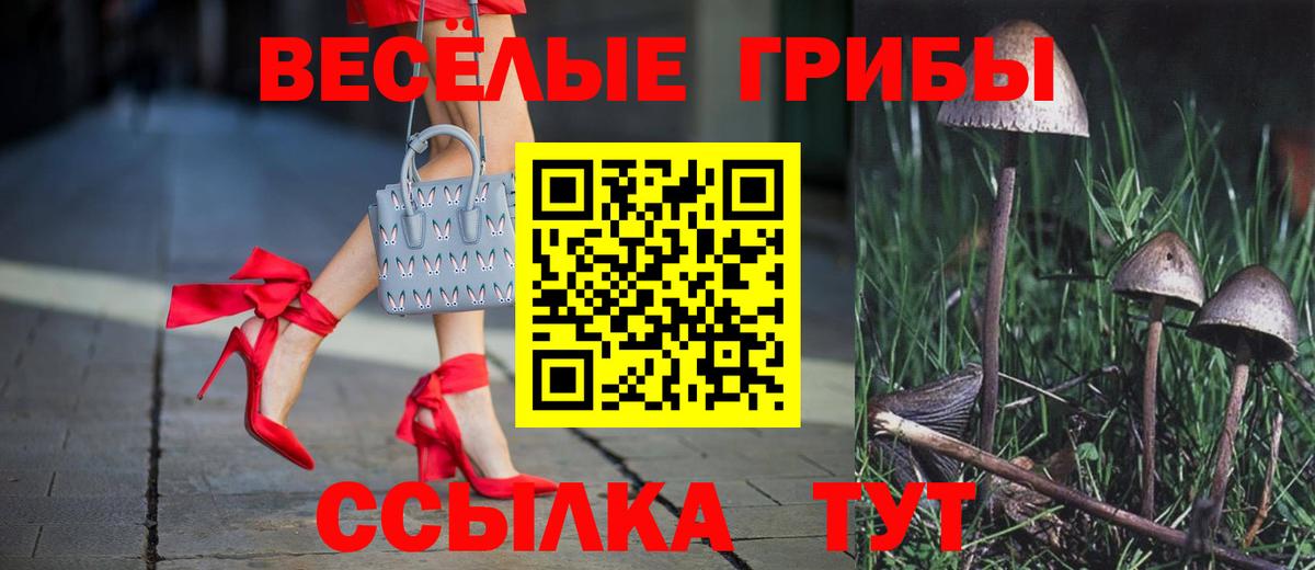 Галлюциногенные грибы Psilocybine cubensis  Вход с VPN  Галлюциногенные грибы Psilocybe  купить наркоту  Дальнереченск 